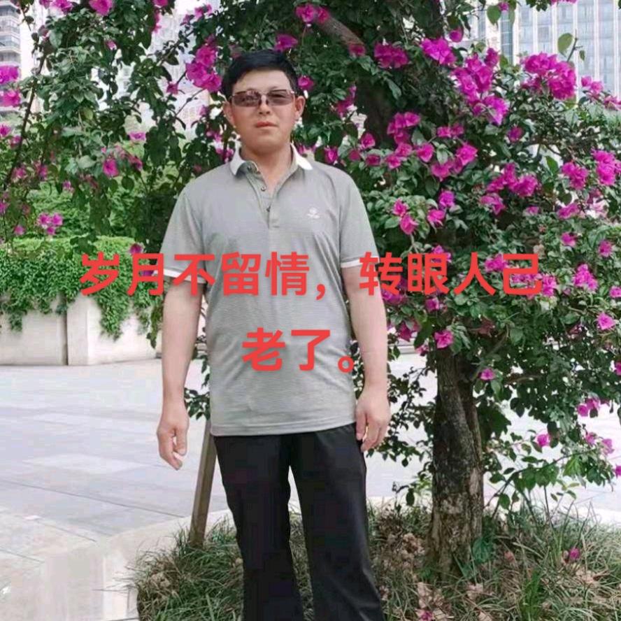 枫的季节