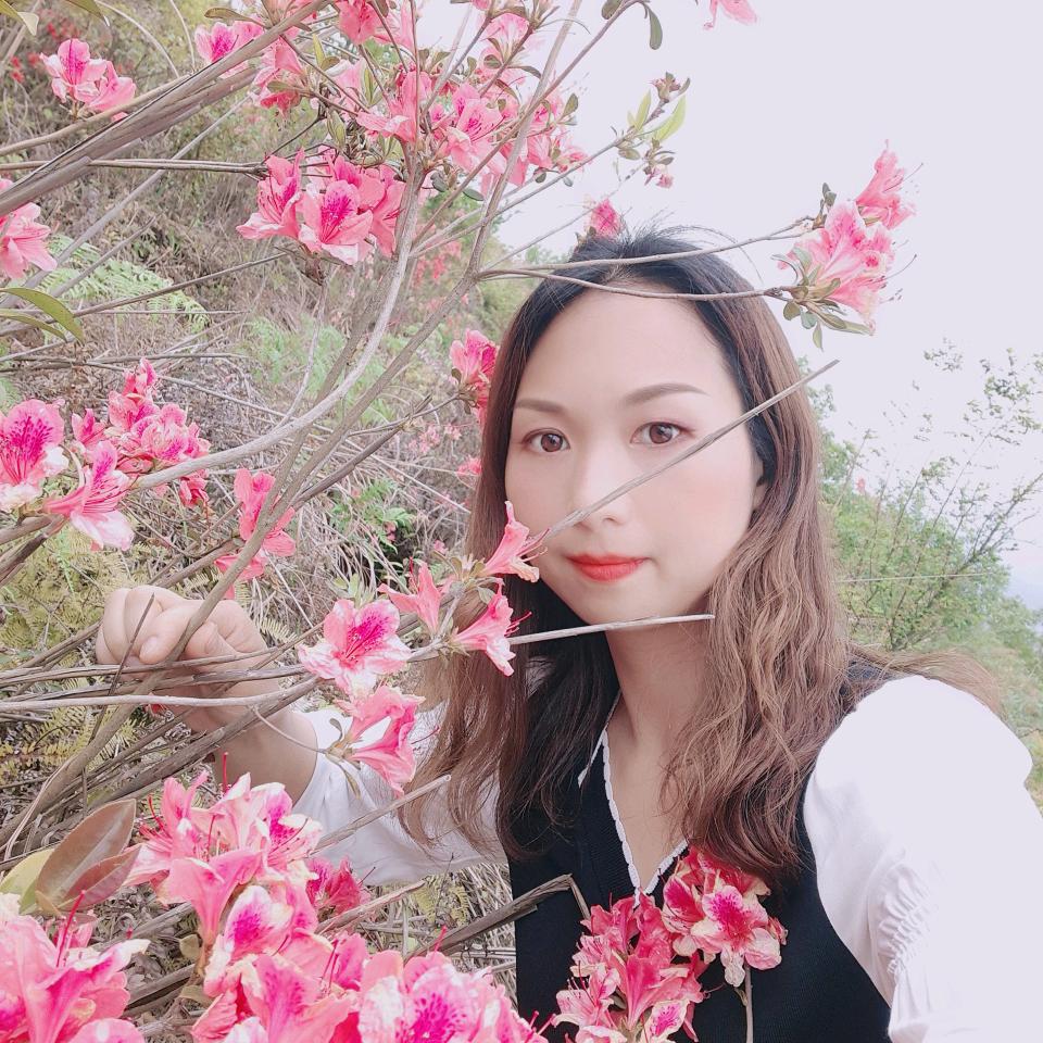 真心至上