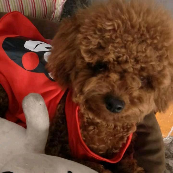 知足常乐。