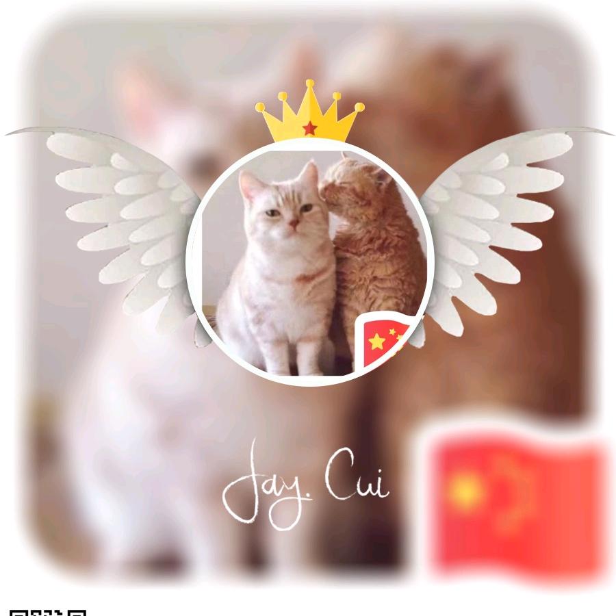 寂寞圣哲
