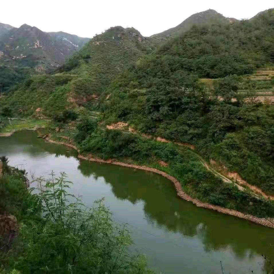 心若移动如何联通