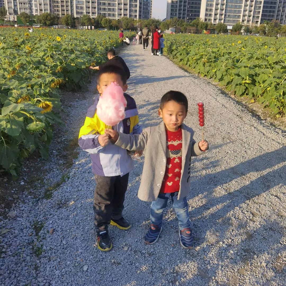 打怪兽的凹凸曼