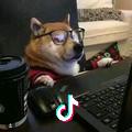 门下拾阳