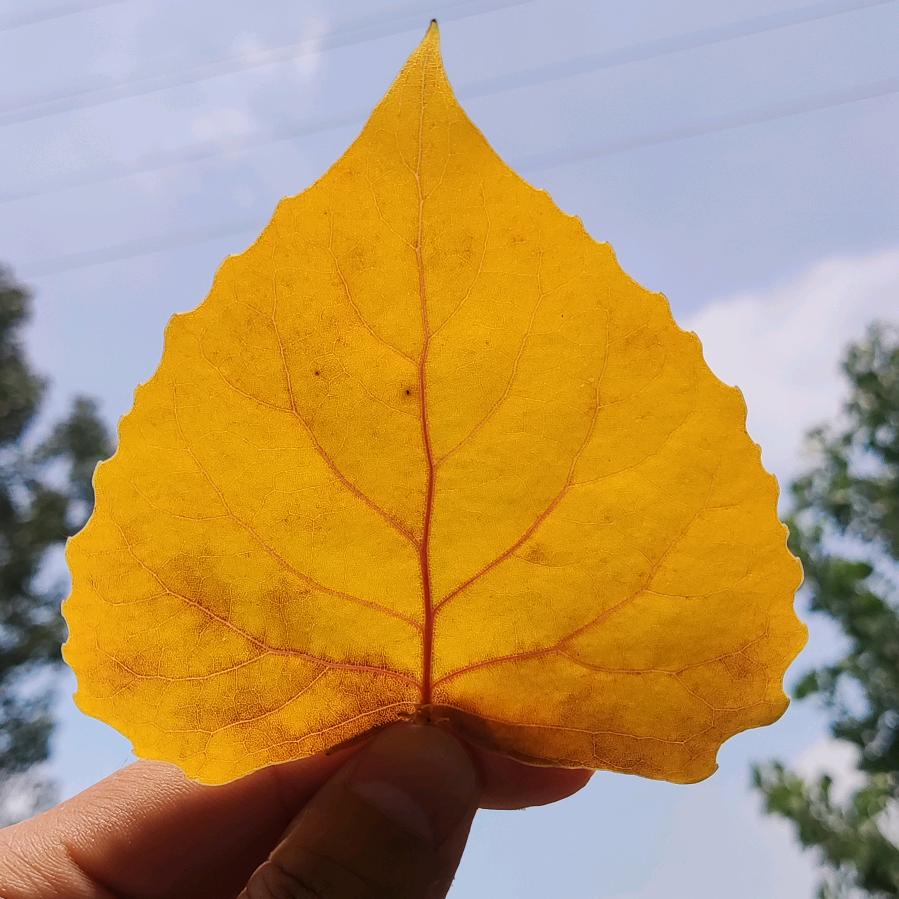🌈风景异头像