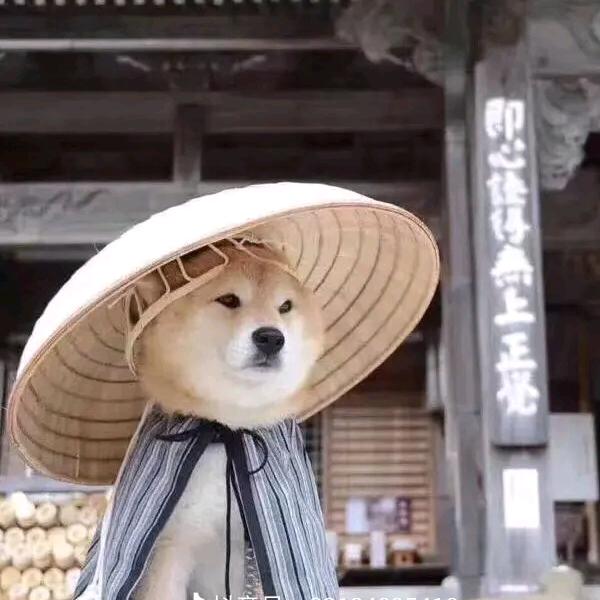 莫殇