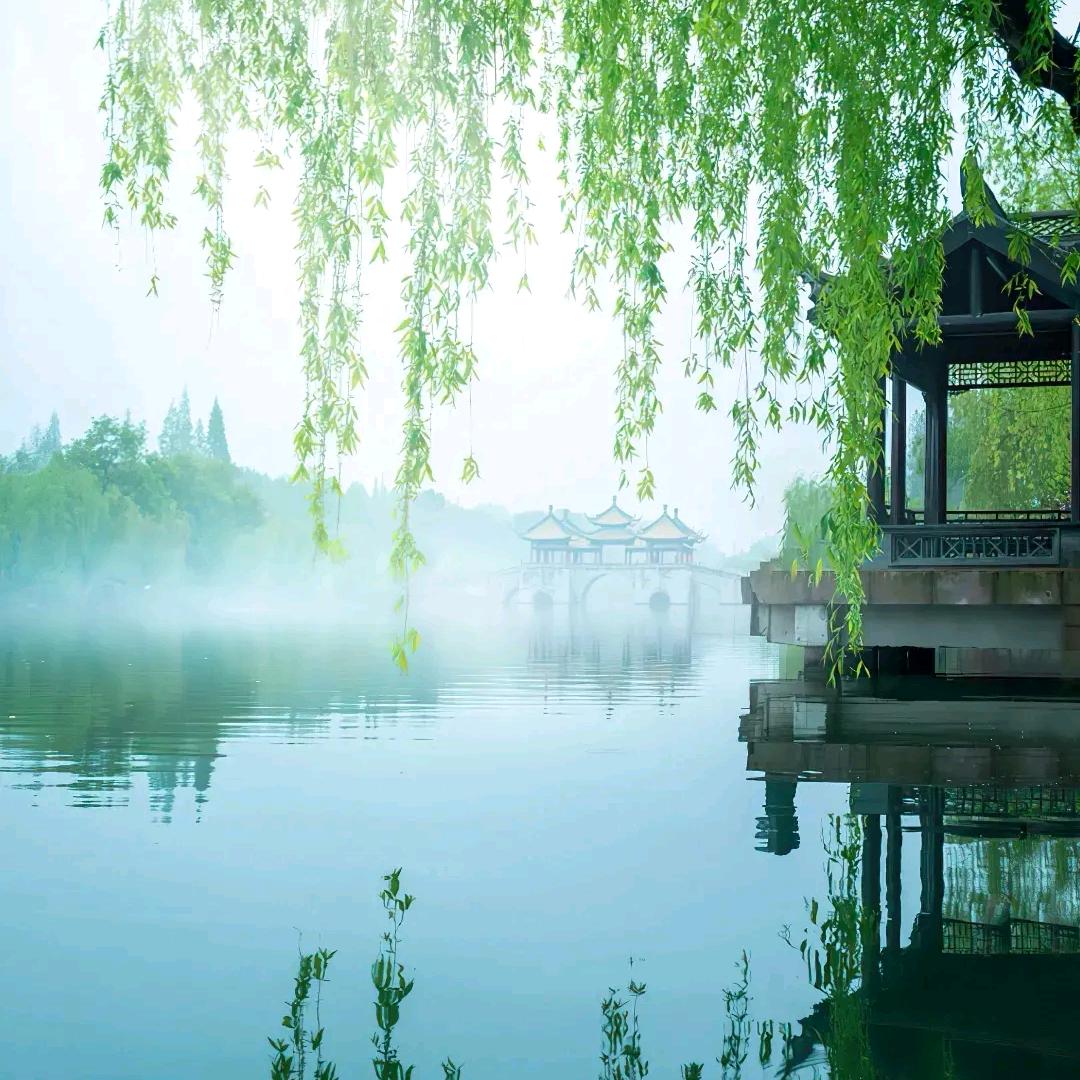 @🍁枫叶情SINA