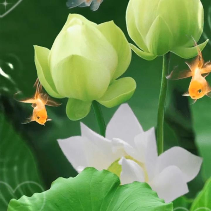 回不去的曾经66