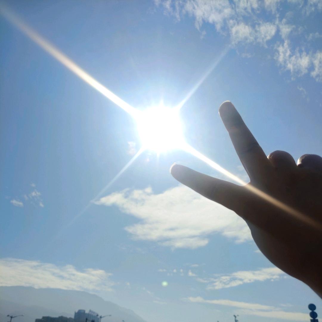 赵先生的杨妹妹