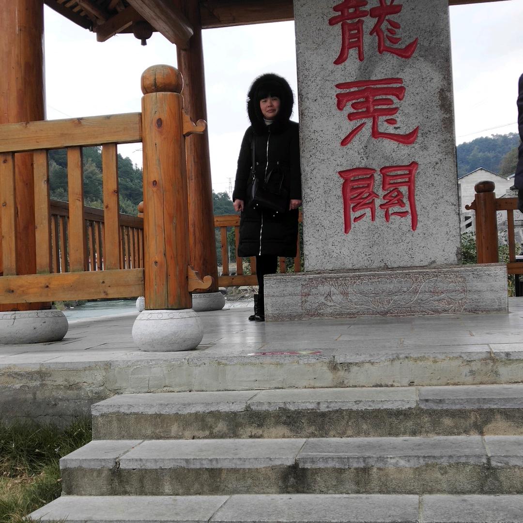 温柔的杨