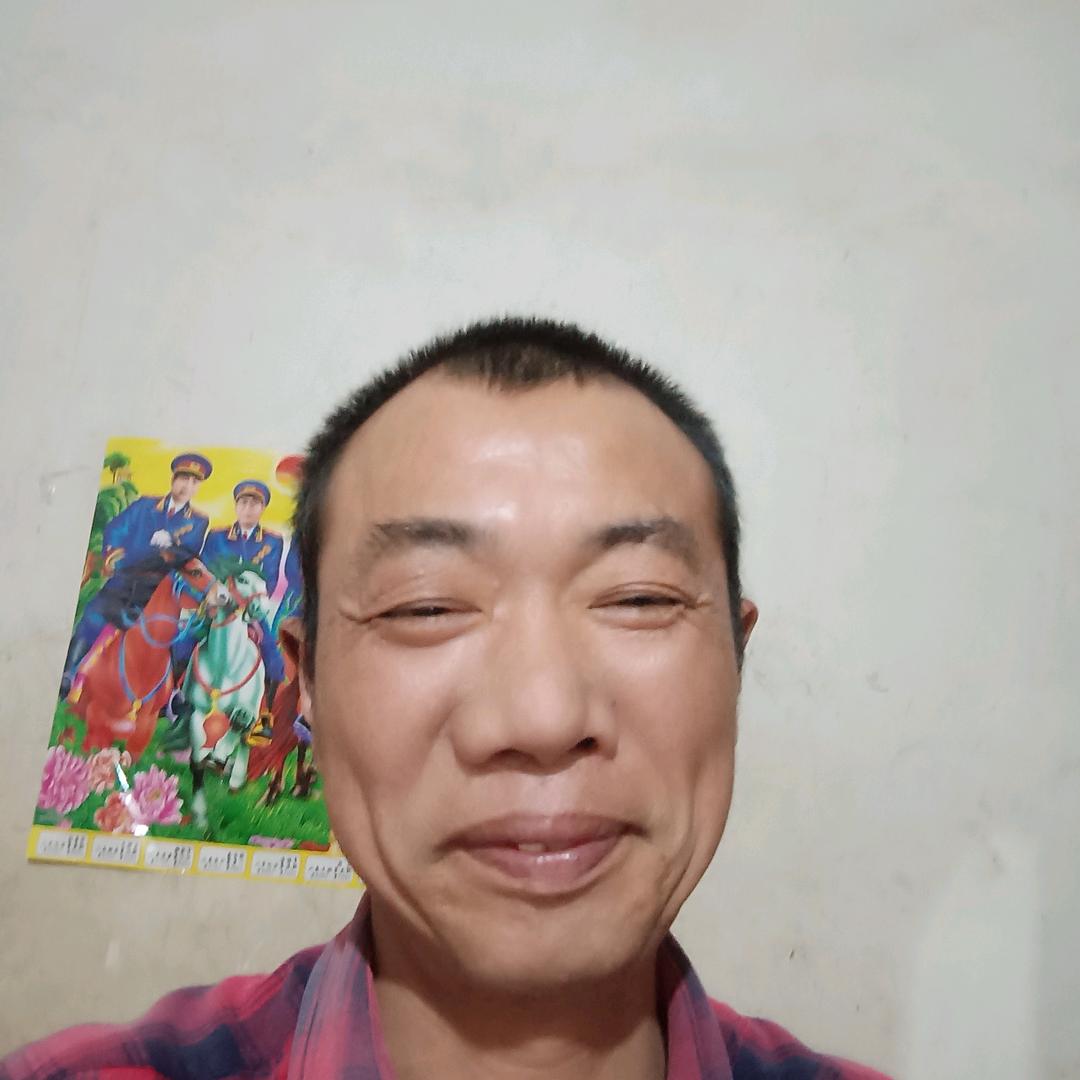 网事如疯
