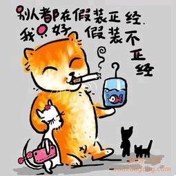 小葛葛︶︵︶