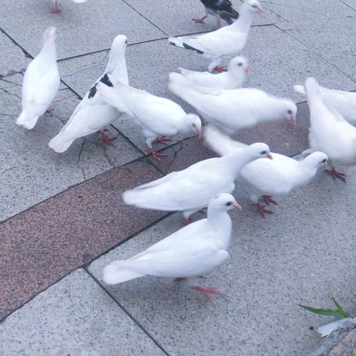 平顶山市卫东区甜成思语百货商行的小店个体店