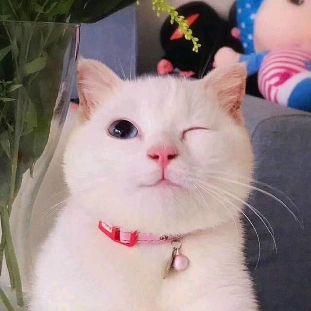 火炎焱燚
