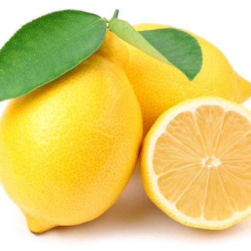柠檬很萌🍋