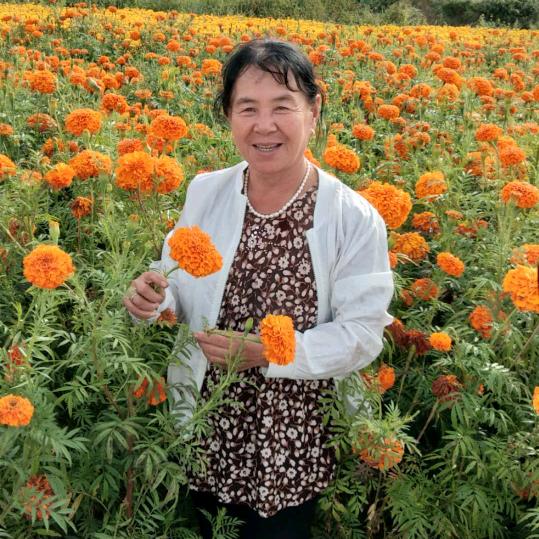 王玉兰