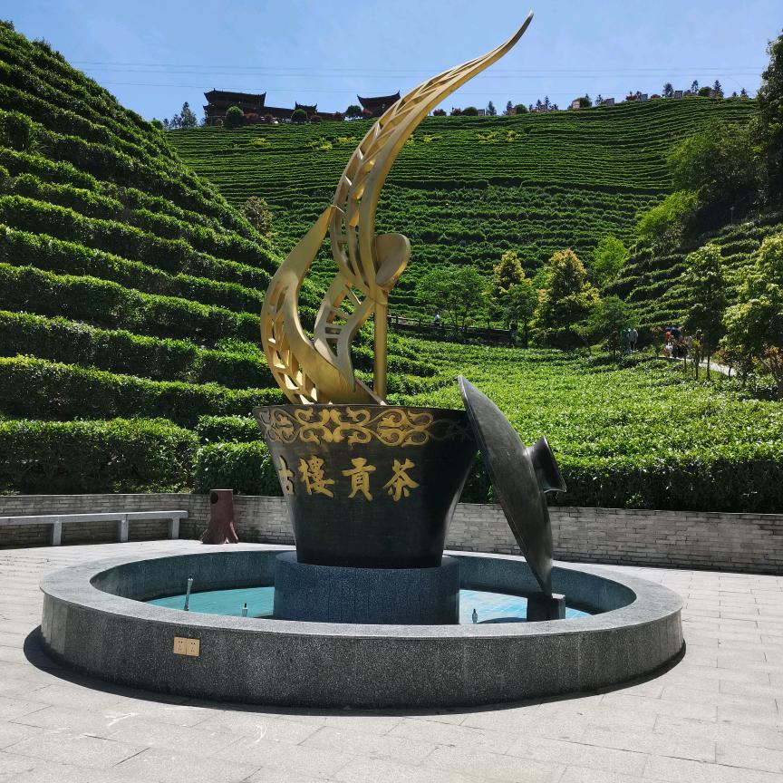 青春不后悔