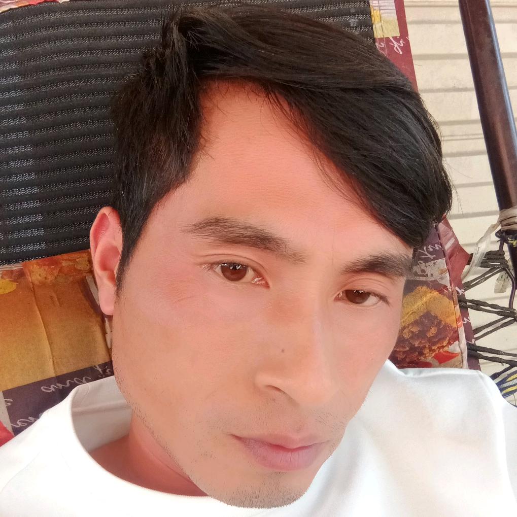 老想