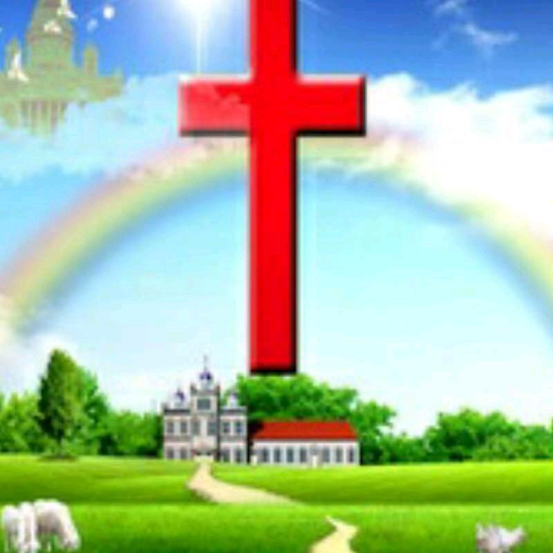 爱主无悔邹玉花