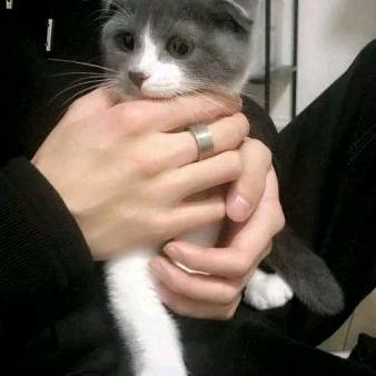 临界条件