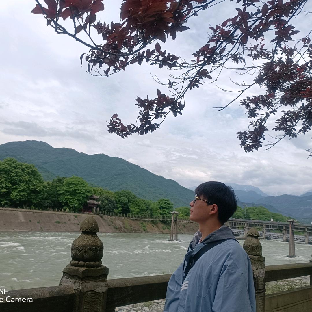 孤独的狼
