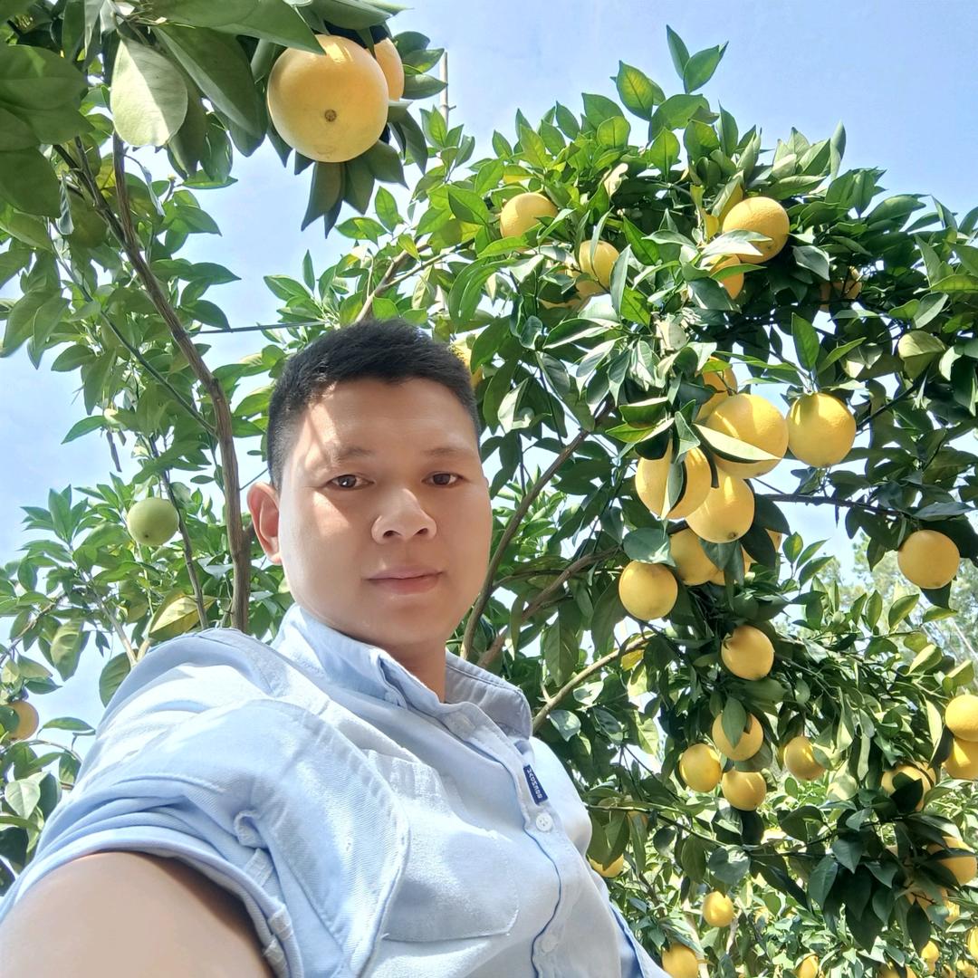 安西硕丰植保王哥