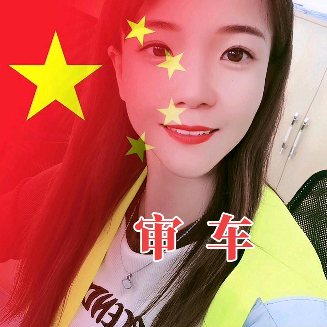 A专业审车