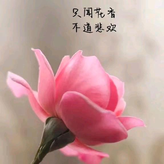 🌞眰⛅恦🌦️