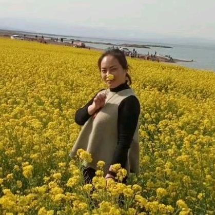 张家宁