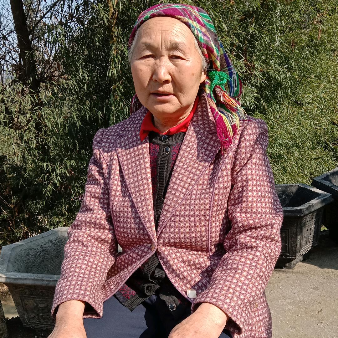 世界玩美
