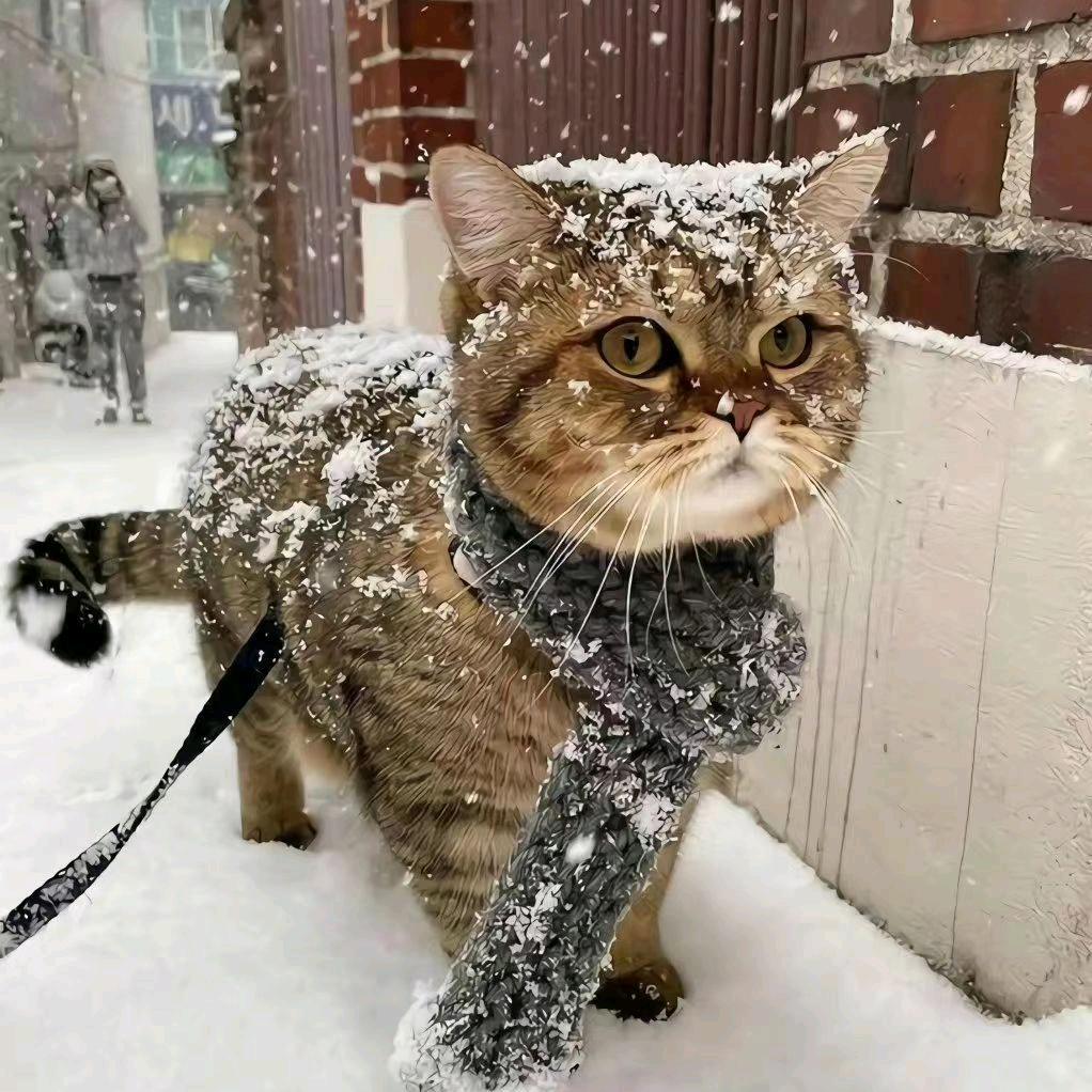 远离金蝶从你我做起