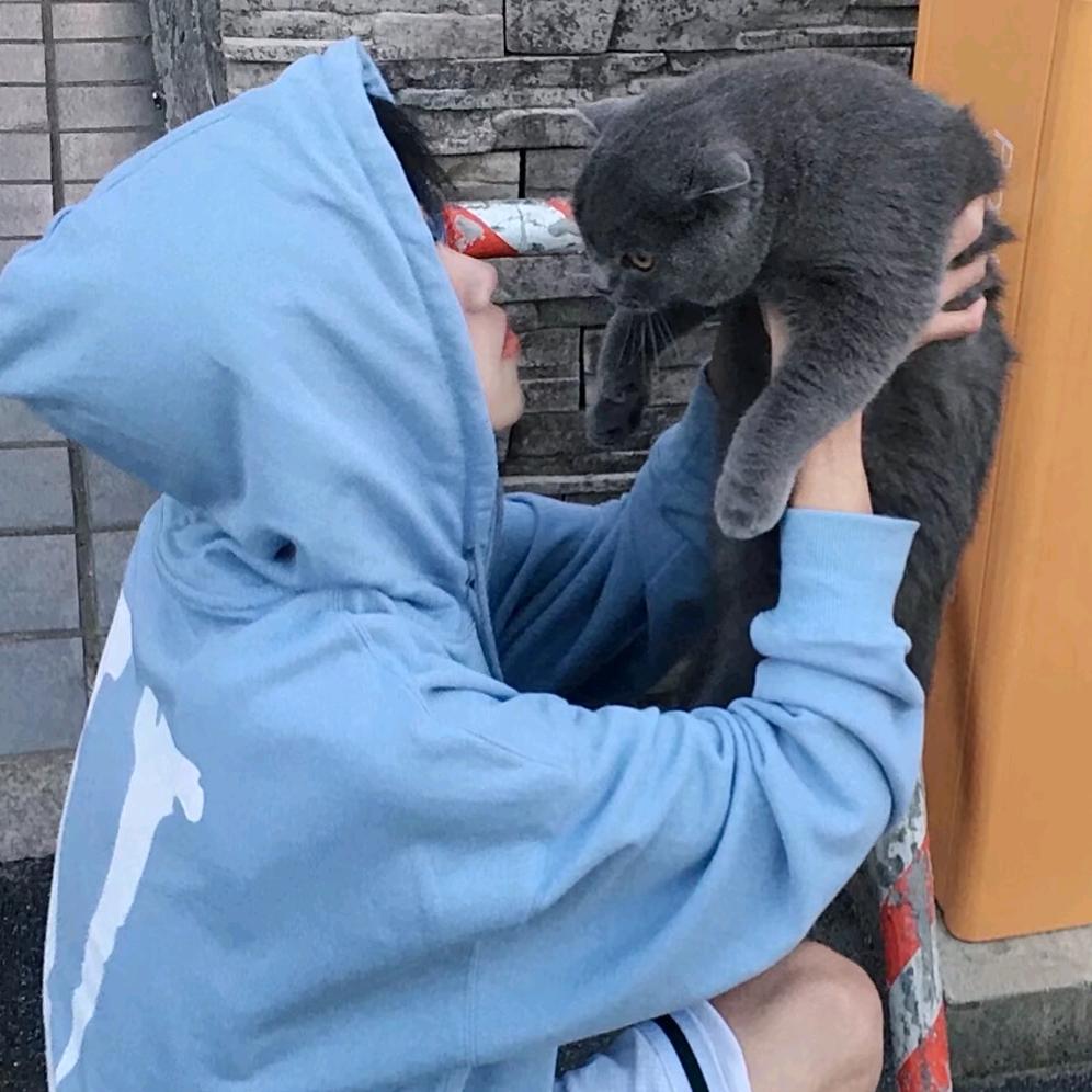 梓树