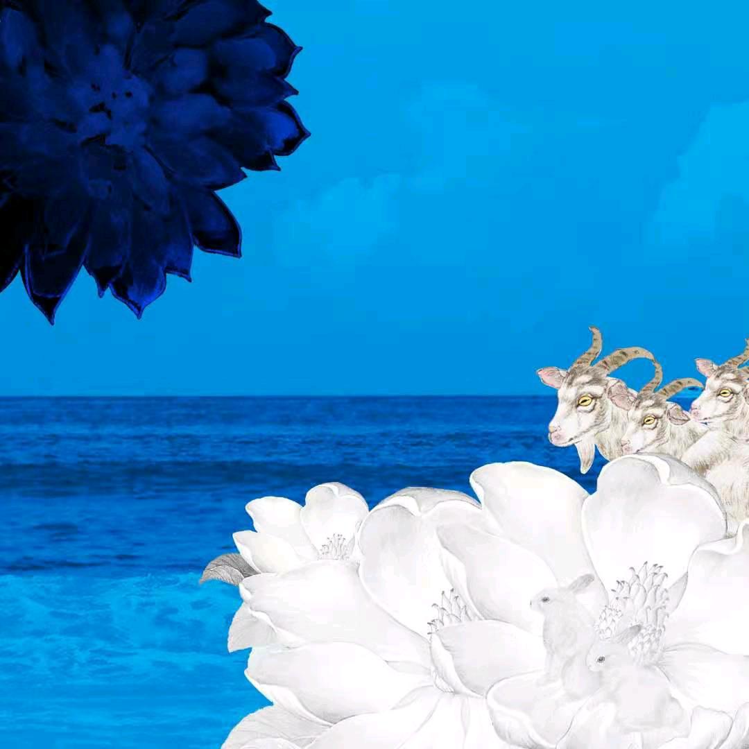 观顺堂芳芳