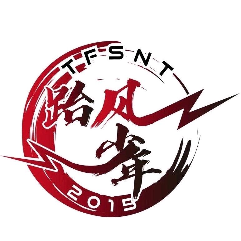 跆风—表演团