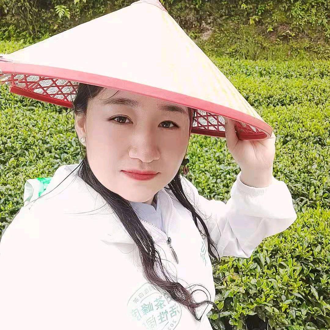 华府茶姐内蒙特产