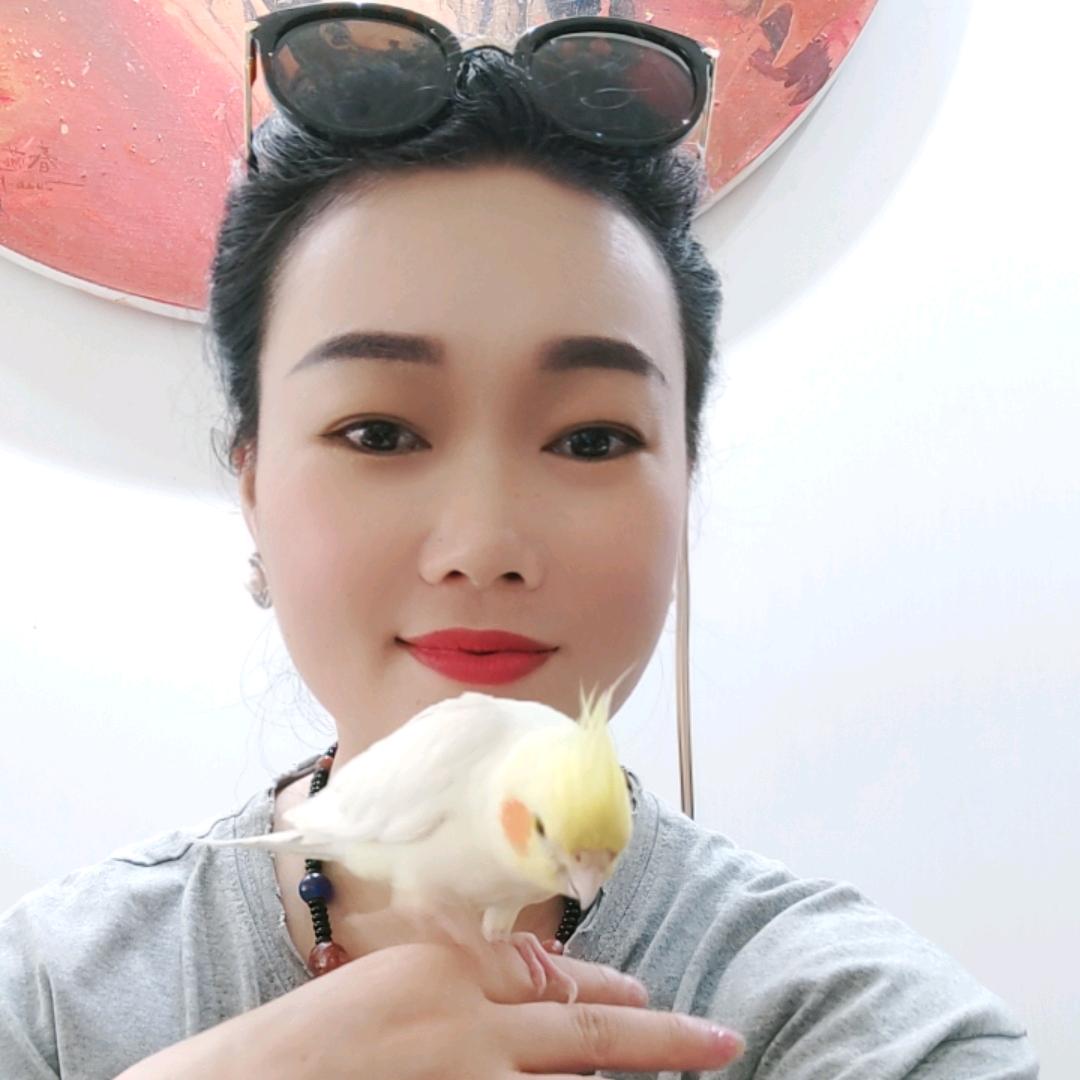 藏藏师妹