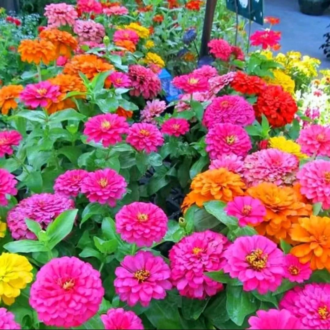 花好月圆