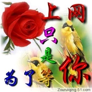 上网只是为了等你
