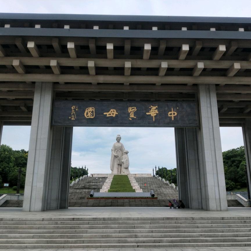 张先生