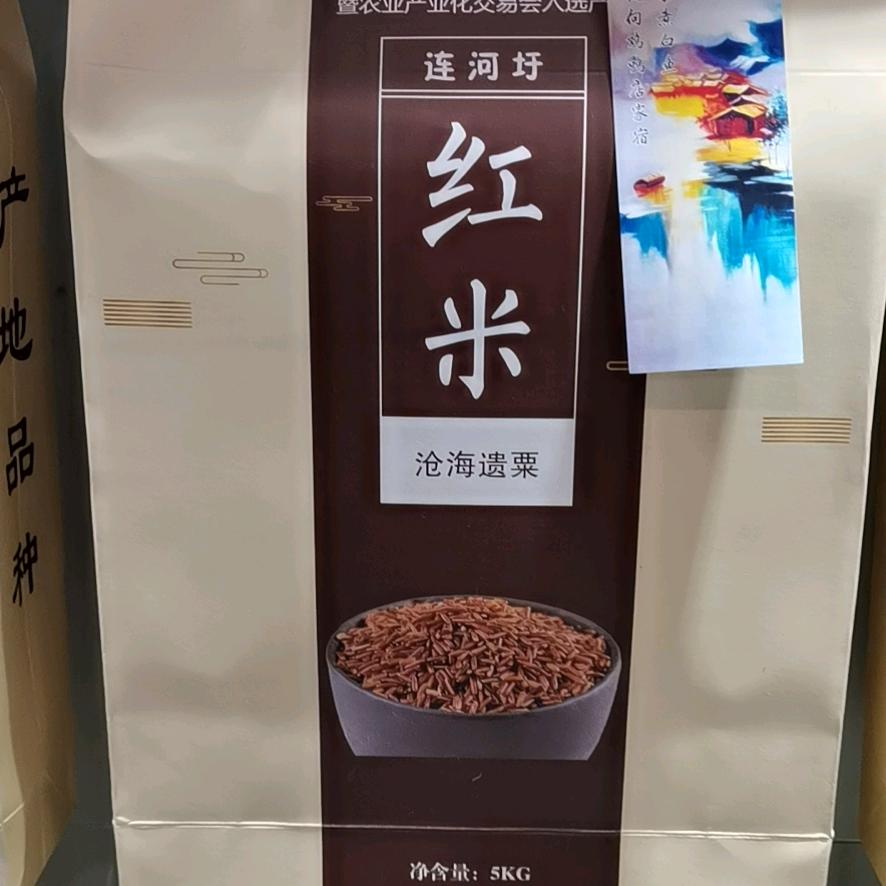 孔静心（德）