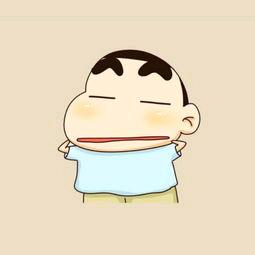 挡风人