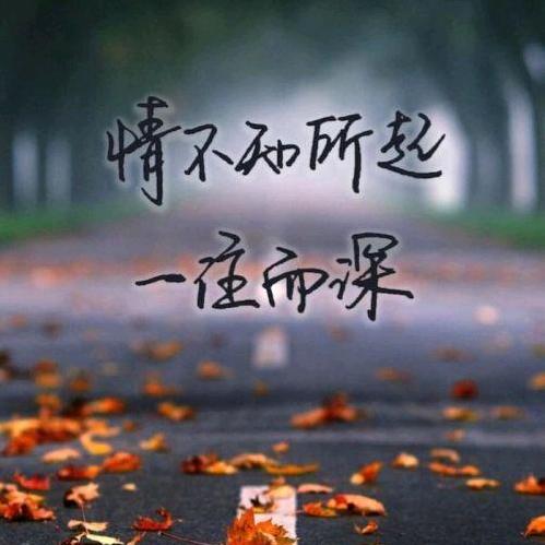 落叶随风飘！