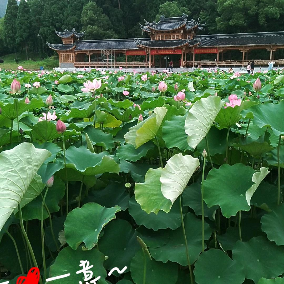 用户