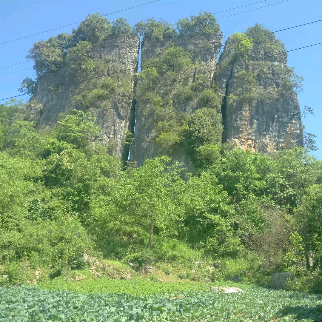 幻影y