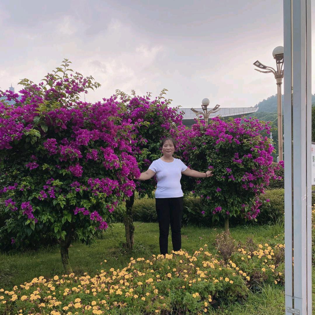 每天幸福