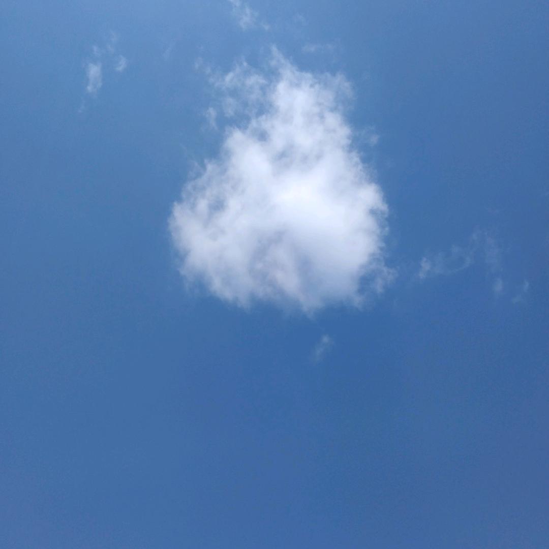 爱如潮水
