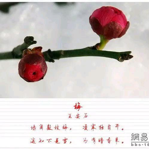 一语喃