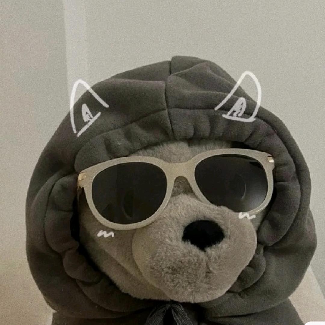 记录一下乱七八糟的沪漂生活