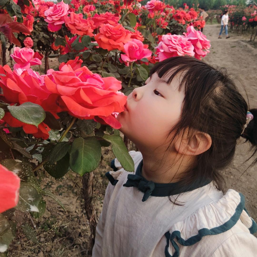 虎姐_随缘