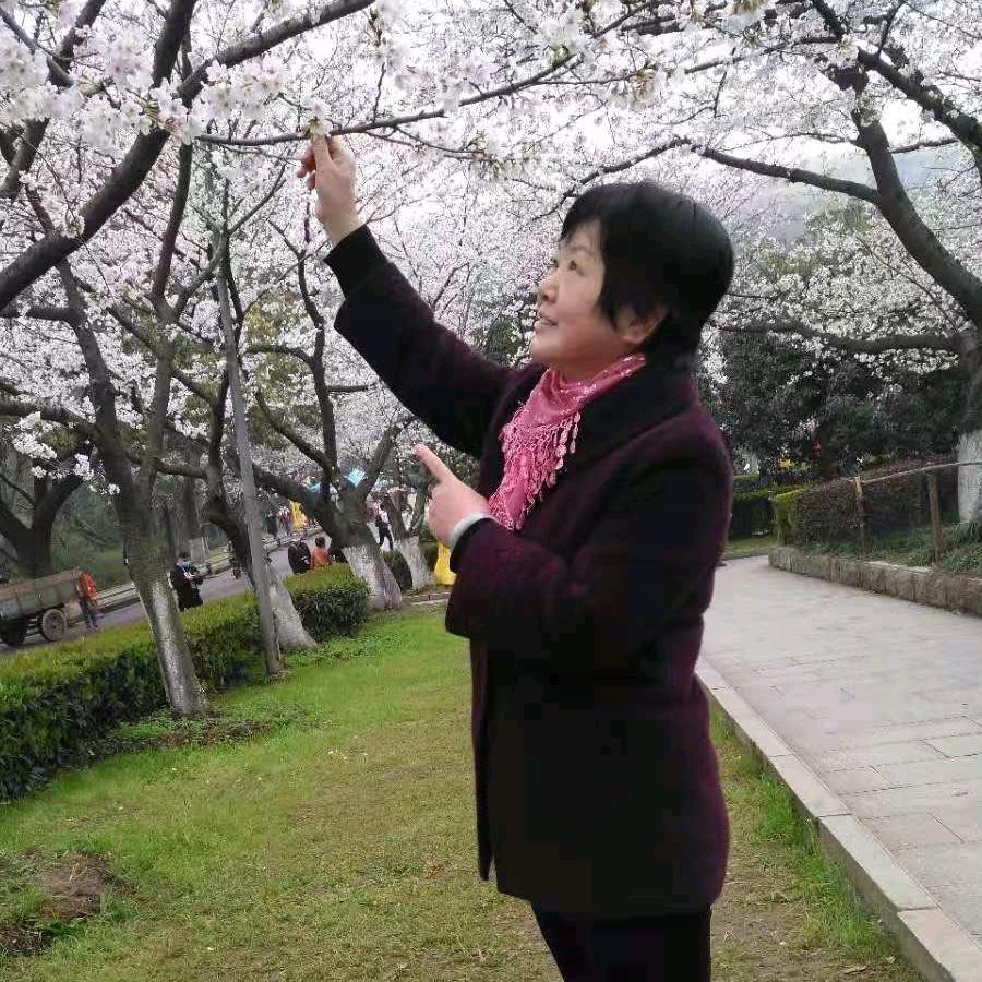 云淡风轻头像