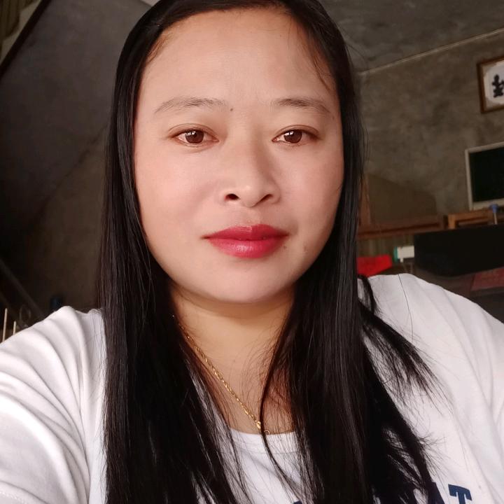 随心远行
